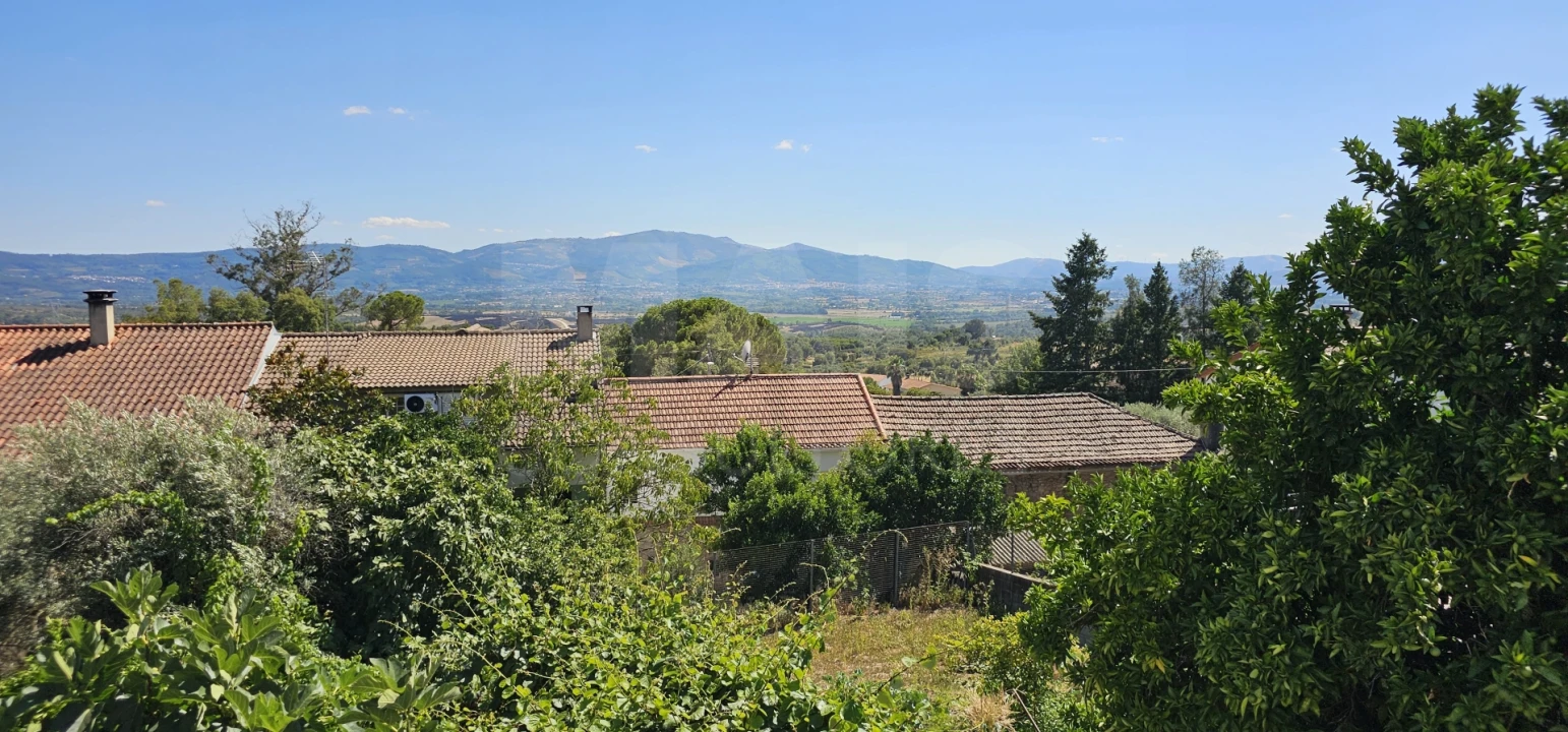 Moradia T3 para Venda em Pero Viseu Foto 5
