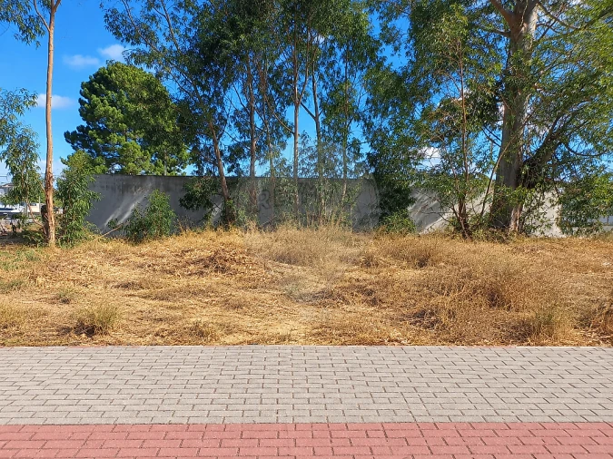 Terreno para Venda em Quinta do Anjo Foto 2