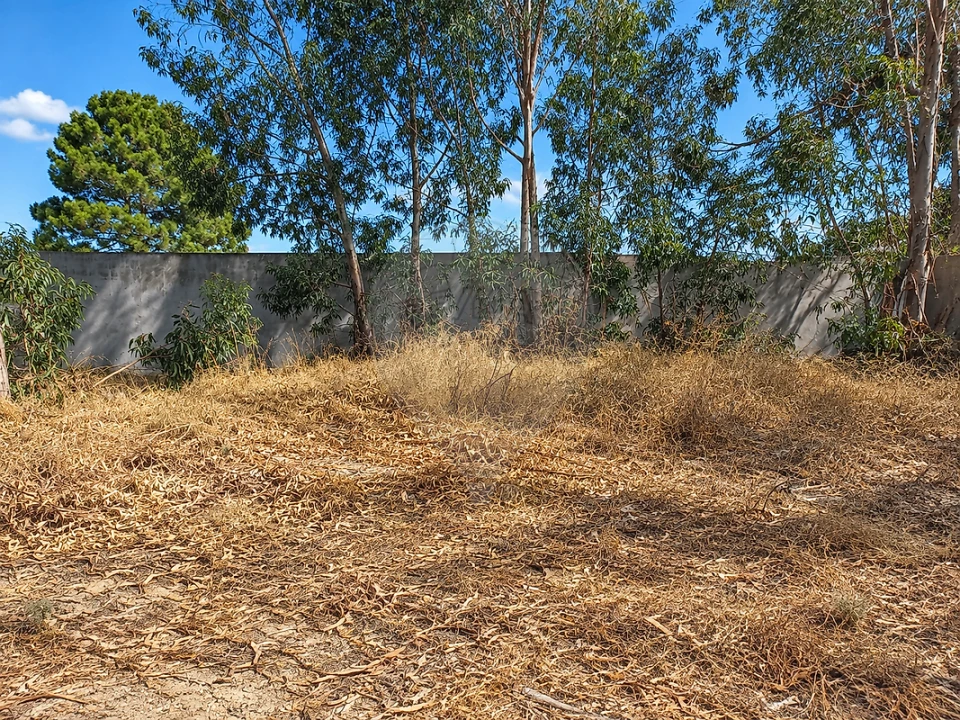 Terreno para Venda em Quinta do Anjo Foto 3