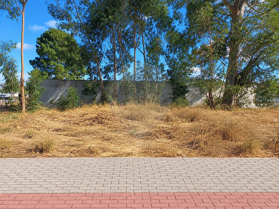 Terreno para Venda em Quinta do Anjo Foto 2