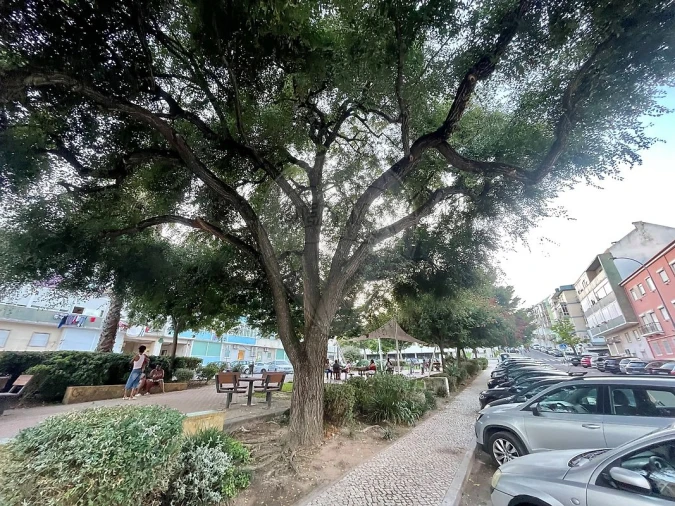 Apartamento T2 para Venda em Águas Livres Foto 5