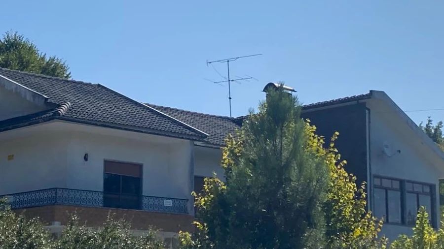 Moradia T4 para Venda em Calde