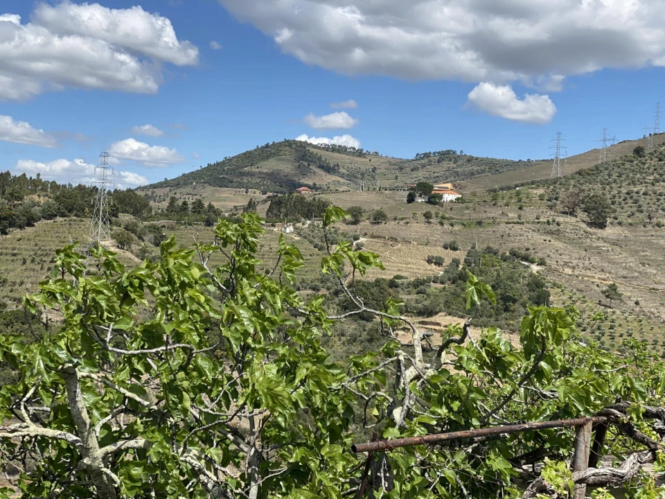 Moradia para Venda em Vacalar Foto 3