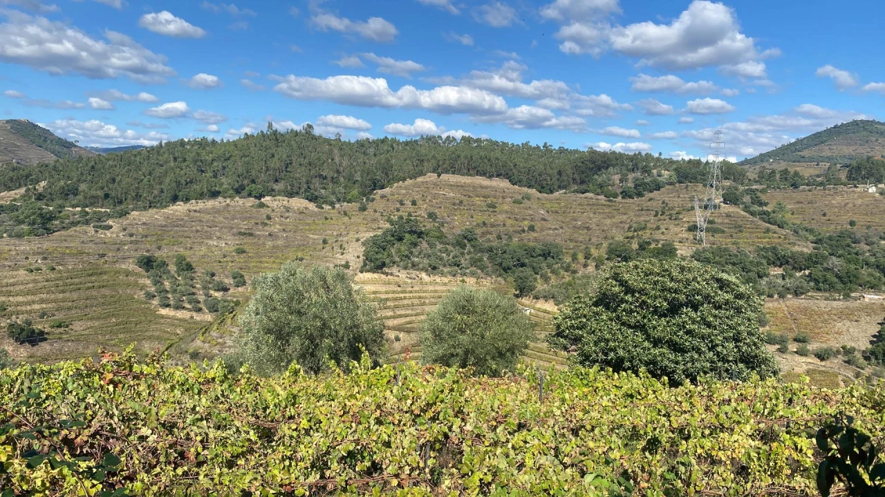 Moradia para Venda em Vacalar Foto 4