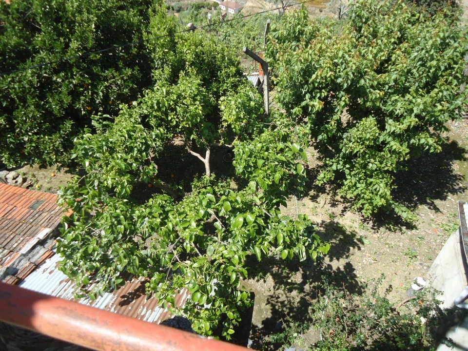 Moradia para Venda em Vacalar Foto 5