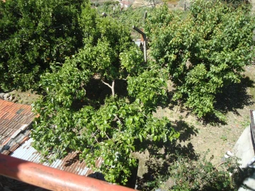 Moradia para Venda em Vacalar