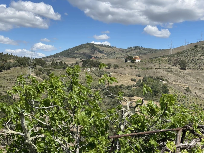 Moradia para Venda em Vacalar Foto 3