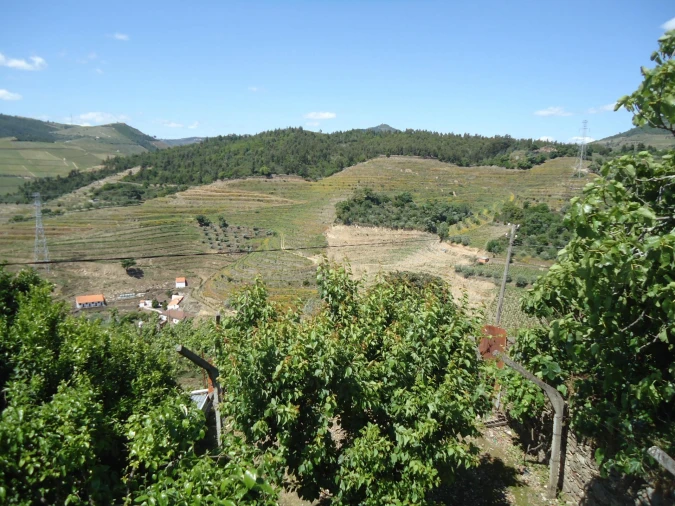 Moradia para Venda em Vacalar Foto 7