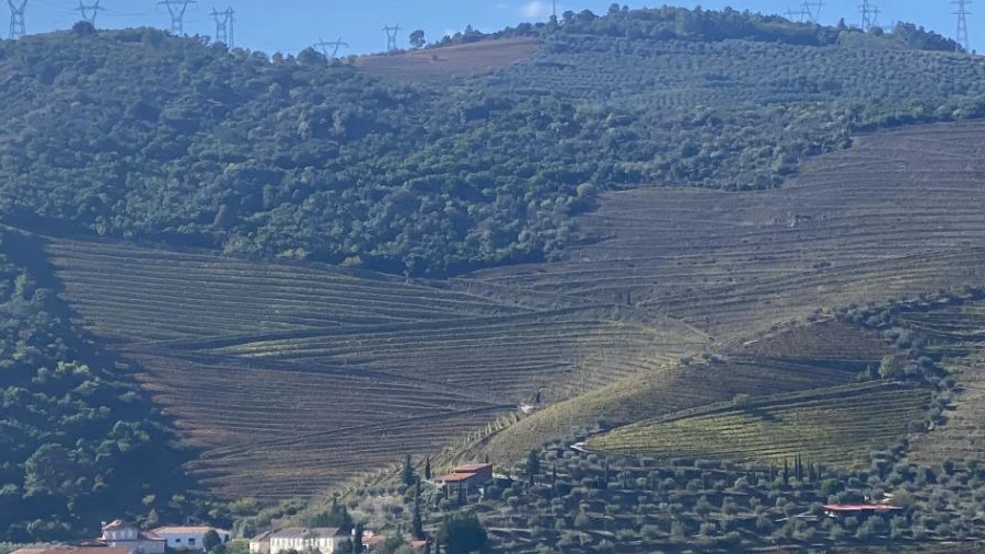 Moradia para Venda em Vacalar