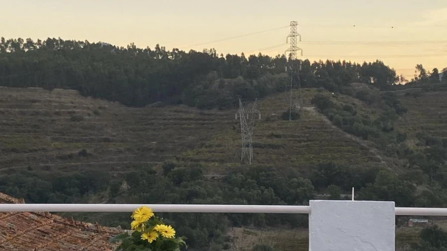 Moradia para Venda em Vacalar