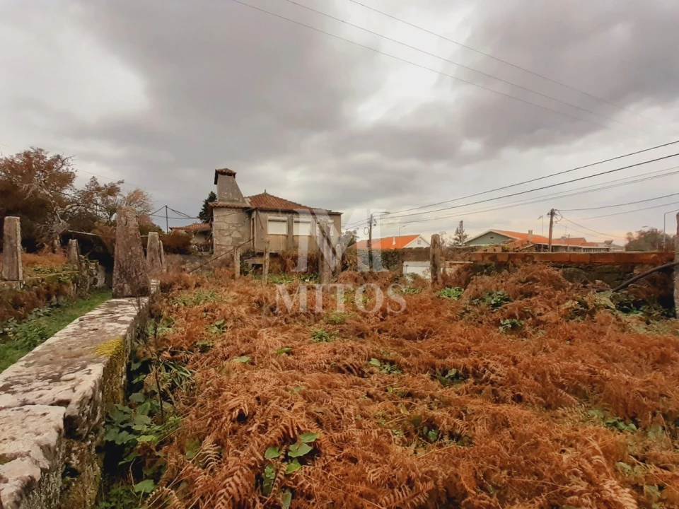 Quinta T4 para Venda em Darque Foto 2