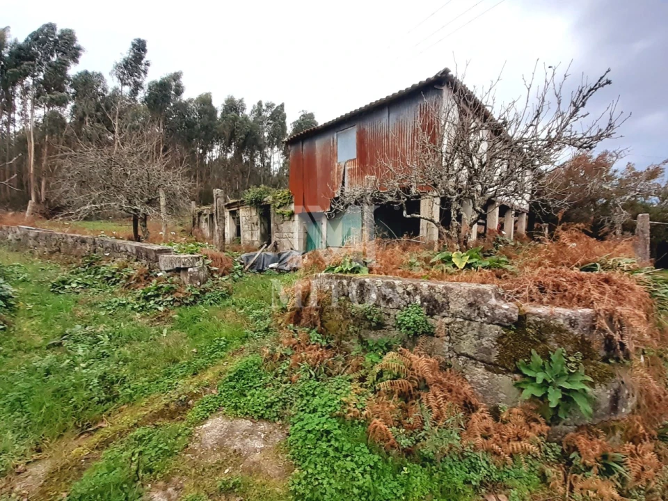 Quinta T4 para Venda em Darque Foto 4