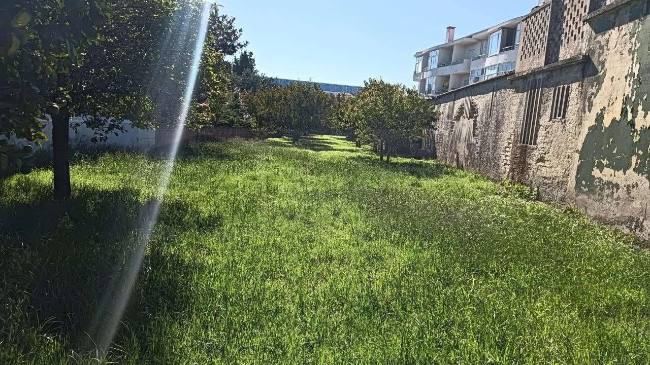 Terreno para Venda em Ílhavo (São Salvador) Foto 3