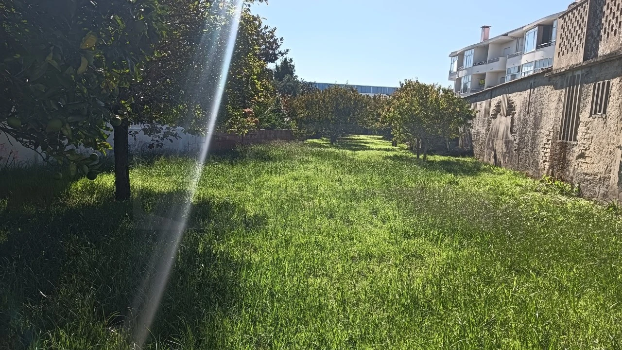 Terreno para Venda em Ílhavo (São Salvador) Foto 5