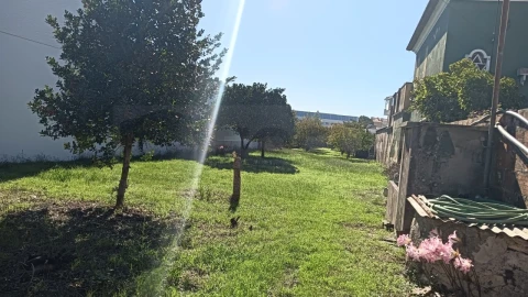 Terreno para Venda em Ílhavo (São Salvador)