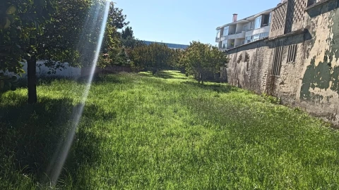 Terreno para Venda em Ílhavo (São Salvador)