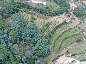 Moradia T2 para Venda em Fornos