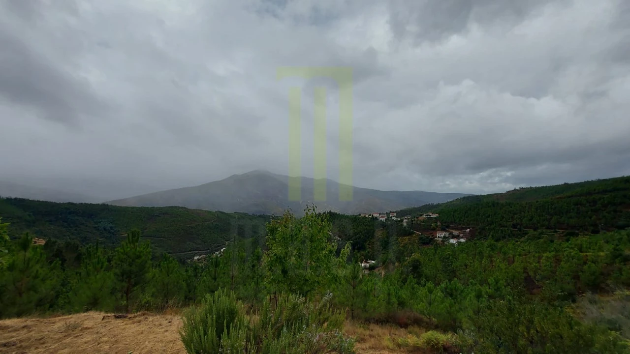 Moradia T3 para Venda em São Gião Foto 27