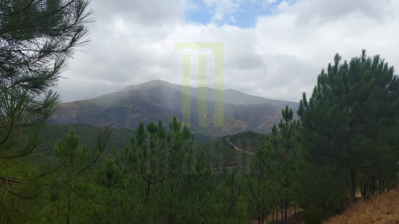 Moradia T3 para Venda em São Gião Foto 29