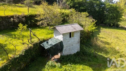 Quinta T3 para Venda em Souselo