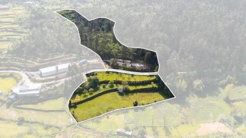 Quinta T3 para Venda em Souselo
