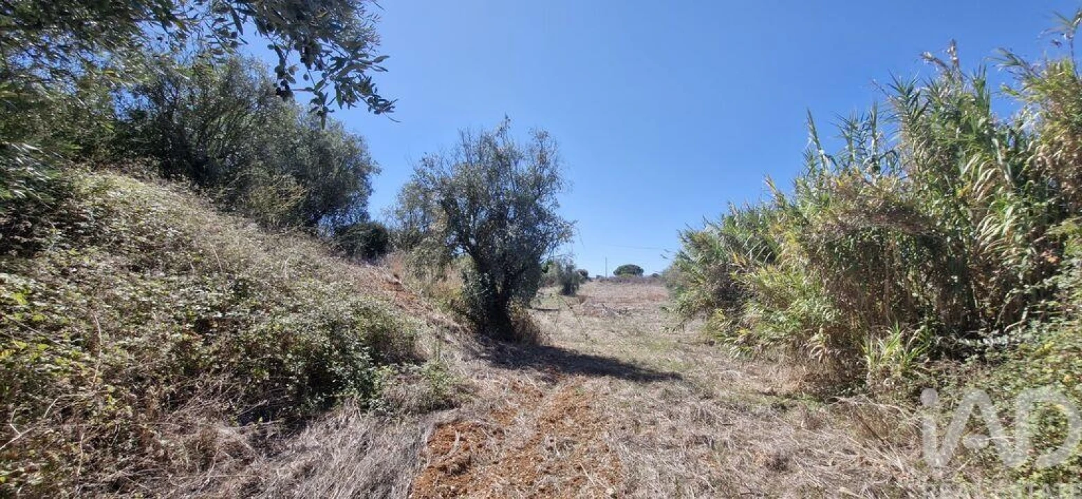 Terreno para Venda em Azambujeira e Malaqueijo Foto 14