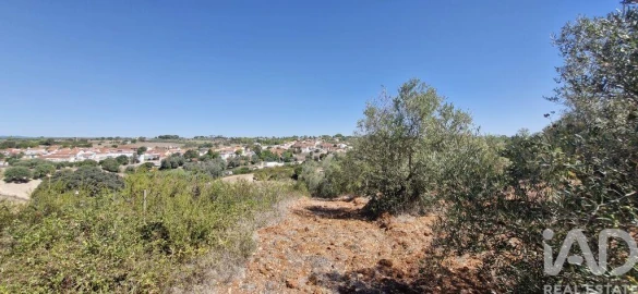Terreno para Venda em Azambujeira e Malaqueijo