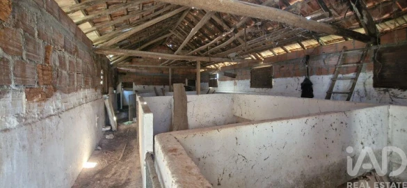 Terreno para Venda em Azambujeira e Malaqueijo