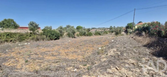 Terreno para Venda em Azambujeira e Malaqueijo