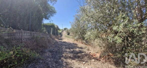 Terreno para Venda em Azambujeira e Malaqueijo