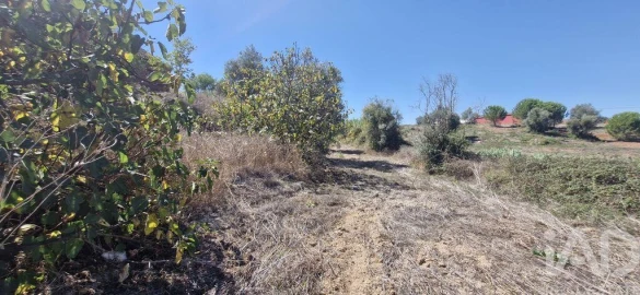 Terreno para Venda em Azambujeira e Malaqueijo