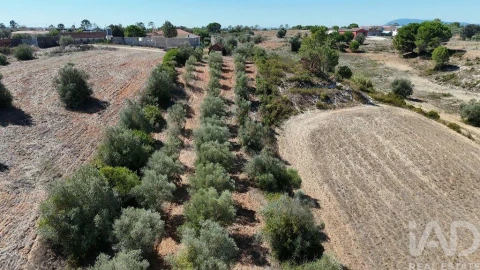 Terreno para Venda em Azambujeira e Malaqueijo
