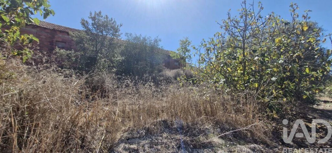 Terreno para Venda em Azambujeira e Malaqueijo Foto 13