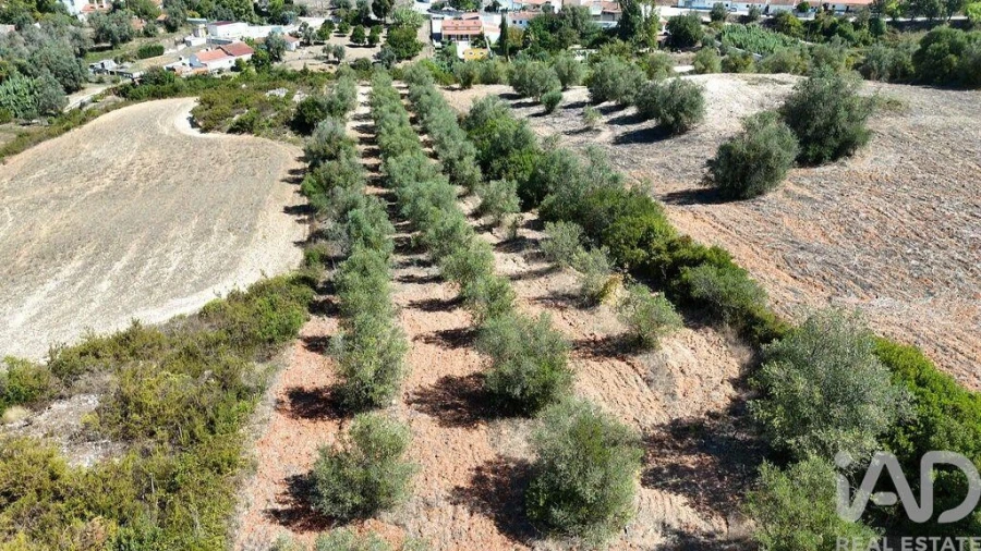 Terreno para Venda em Azambujeira e Malaqueijo Foto 27