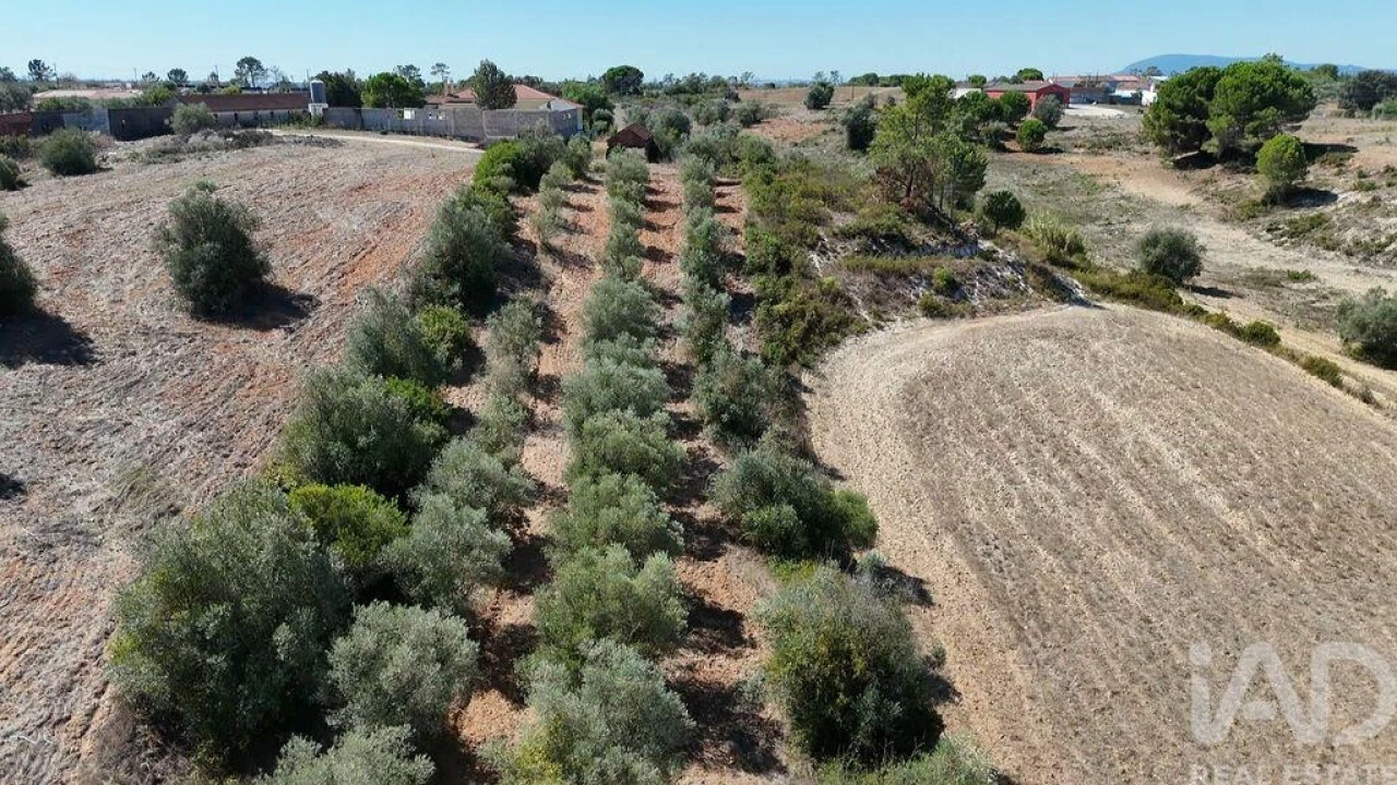 Terreno para Venda em Azambujeira e Malaqueijo Foto 5