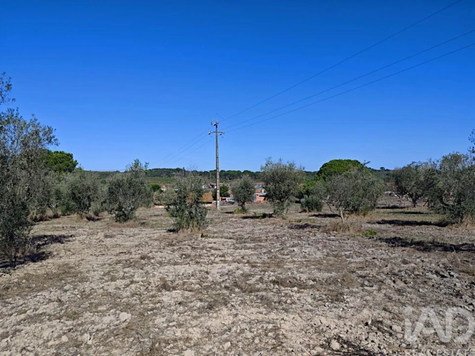 Quinta T4 para Venda em Coruche, Fajarda e Erra Foto 4