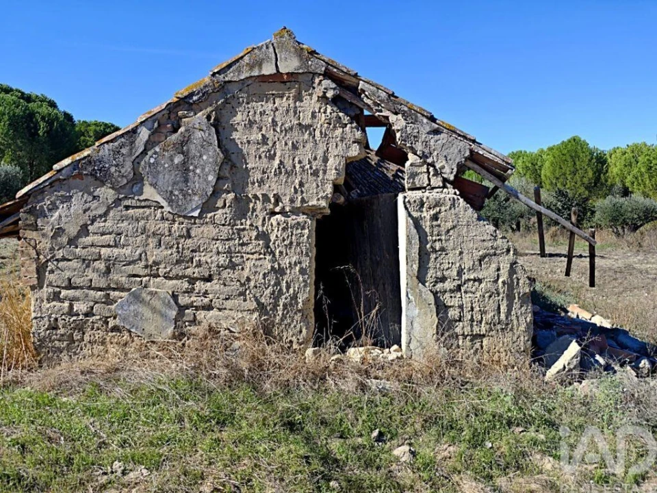 Quinta T4 para Venda em Coruche, Fajarda e Erra Foto 12