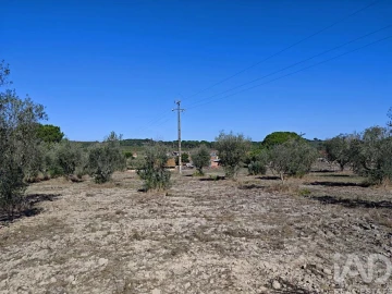 Quinta T4 para Venda em Coruche, Fajarda e Erra