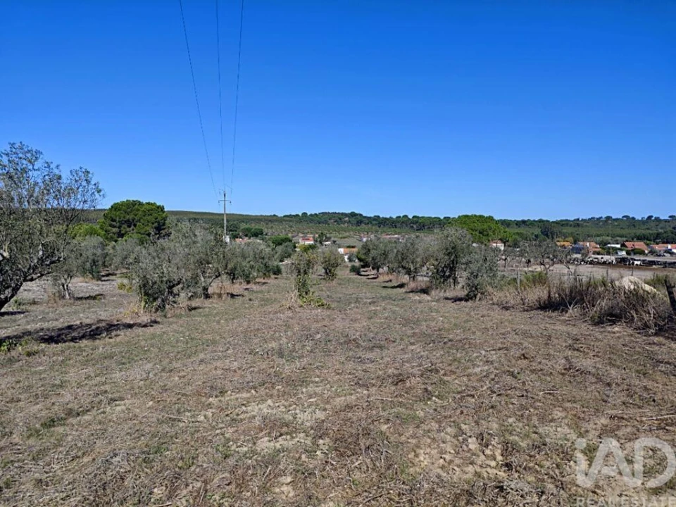 Quinta T4 para Venda em Coruche, Fajarda e Erra Foto 28