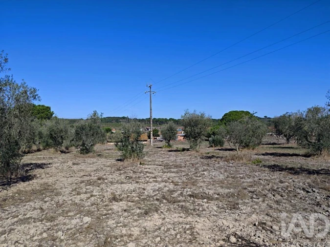 Quinta T4 para Venda em Coruche, Fajarda e Erra Foto 4
