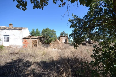 Terreno para Venda em Salir
