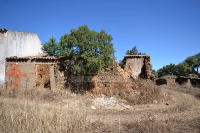 Terreno para Venda em Salir