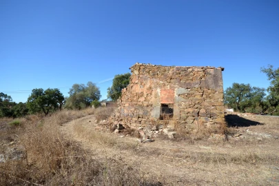 Terreno para Venda em Salir