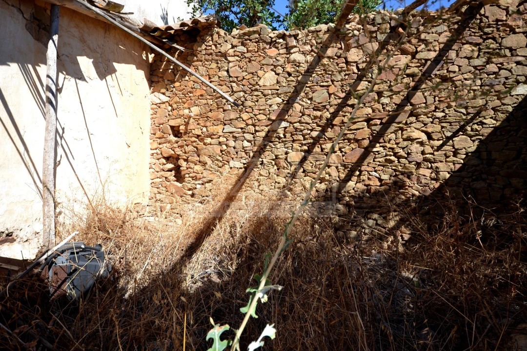 Terreno para Venda em Salir Foto 21
