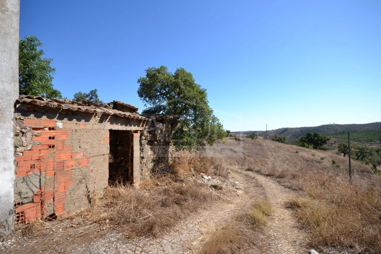 Terreno para Venda em Salir Foto 17