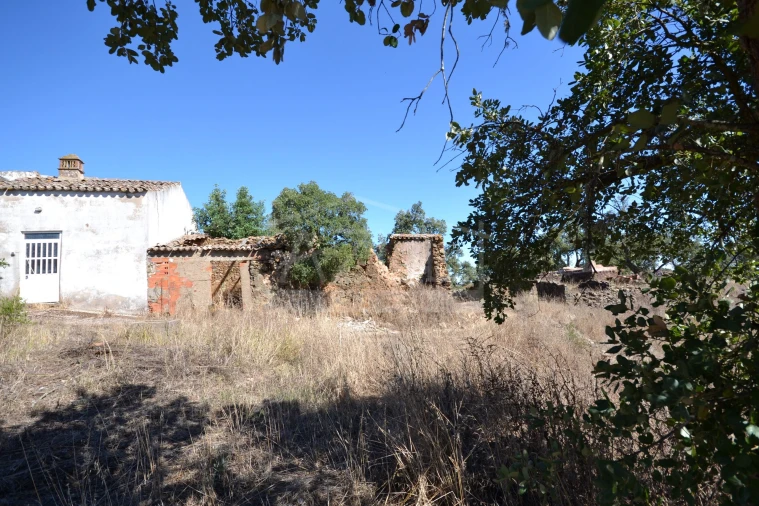 Terreno para Venda em Salir Foto 19