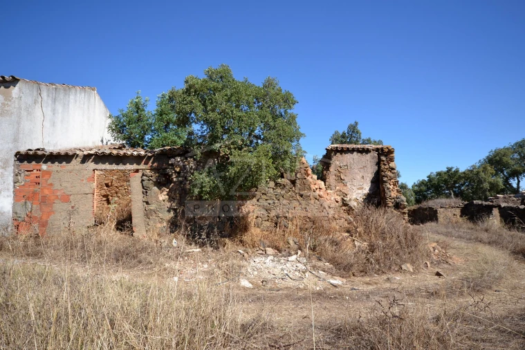 Terreno para Venda em Salir Foto 4