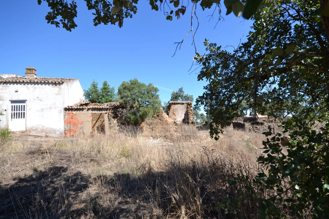 Terreno para Venda em Salir Foto 19