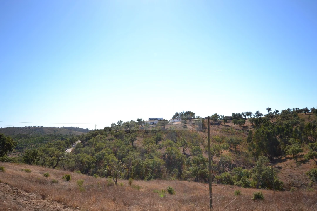 Terreno para Venda em Salir Foto 5