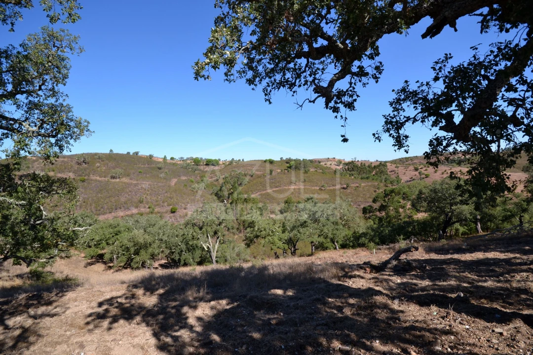 Terreno para Venda em Salir Foto 6